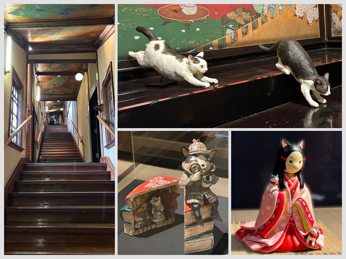 HirakiUkiyoe's tweet image. 【展覧会情報】
「時を旅する福ねこ at百段階段」
金銀取り混ぜた極彩色の彩色木彫や螺鈿に彩られた百段階段と猫の競演✨
以前お世話になった猫作家の皆さんの作品と9月30日で一時休館となる百段階段ゆっくりと拝見しました
〜6月15日(日)
#目黒雅叙園
#百段階段
#小澤康麿
#松本浩子
#渡辺志野