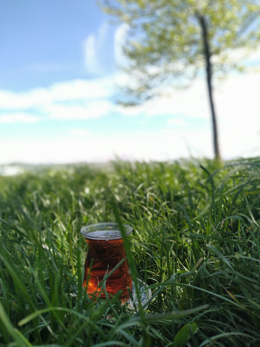 hcr_acr's tweet photo. 🌳😇
"Yaşamak üzerine çok düşünüyorsun, birazcık YAŞA!" https://t.co/nLsxgkiNYk