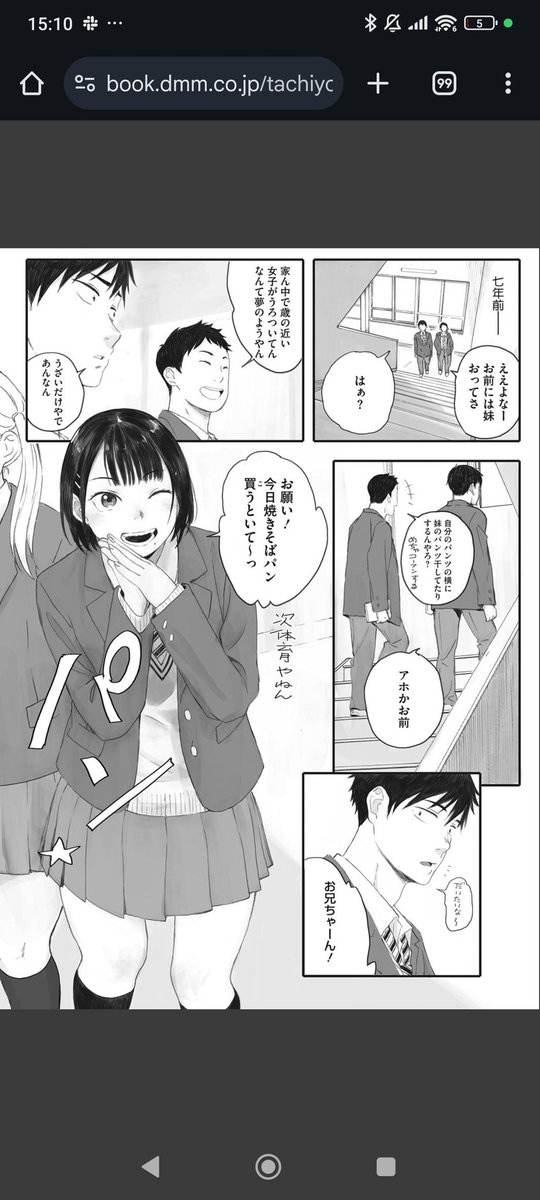 秋桜が咲いた日に