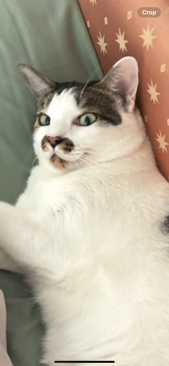 asrhmint's tweet image. นี่แม่เองลูกกกกกก