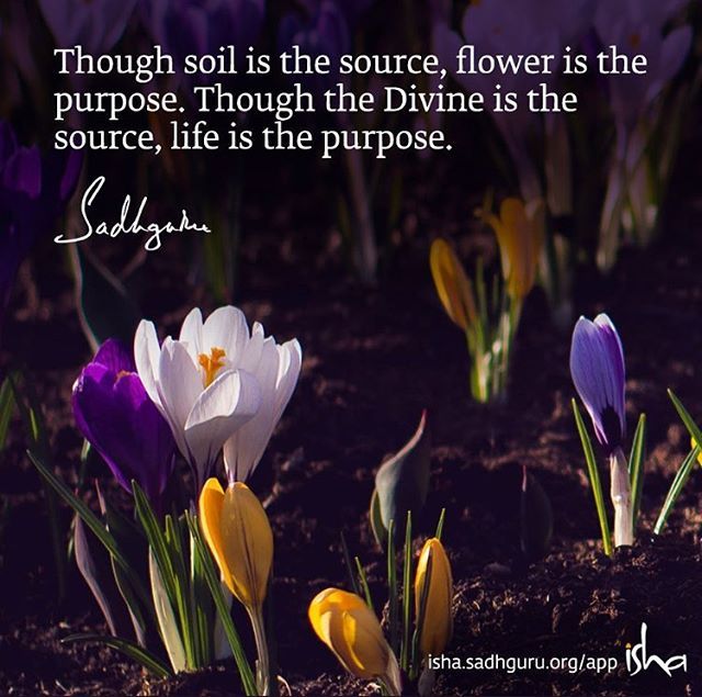 SaveSoilLife #SaveSoil tweet media