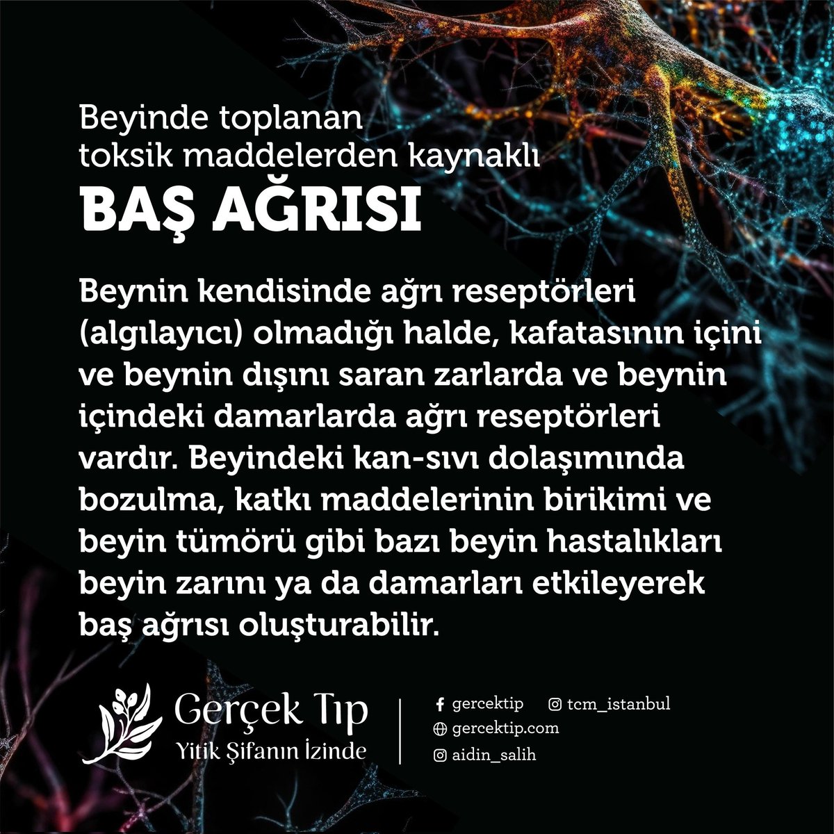 AidinSalih's tweet photo. Beyinde toplanan toksik maddelerden kaynaklı 
BAŞ AĞRISI

Beyindeki kan-sıvı dolaşımında bozulma, katkı maddelerinin birikimi ve beyin tümörü gibi bazı beyin hastalıkları beyin zarını ya da damarları etkileyerek baş ağrısı oluşturabilir.

Aidin Salih / Gerçek Tıp
#aidinsalih https://t.co/KsPtqNjKm5