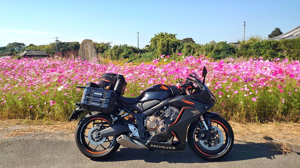 spring song@CBR650R tweet media