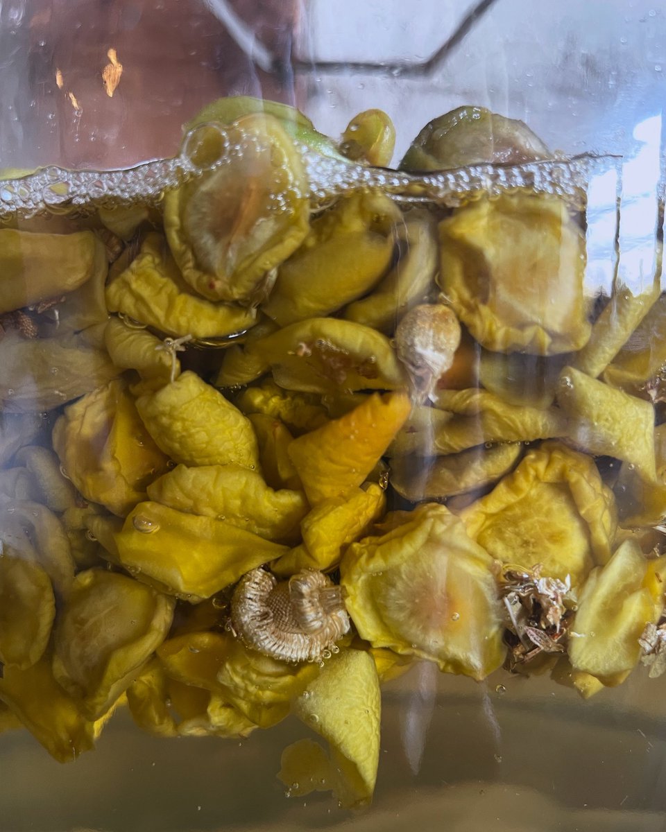 【6月のおやすみ】
毎週木曜日、9(月)、25(水)、27(金)を休みます。
.
.
.
梅とハーブのシロップはもう少しで完成です🥂