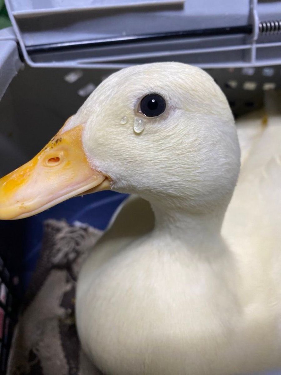 지금 내 기분이 이럼