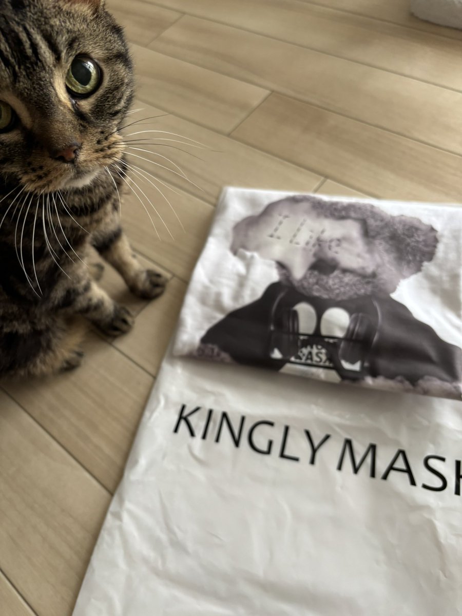saboten1347938's tweet image. 「KINGLY MASK」で購入。まめちゃんに会えて感激✨

#まめっこ