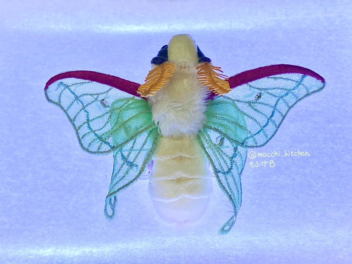 カイコガの小さなぬいぐるみ　刺繍羽・寝そべりver. カイコガの小さなぬいぐるみ 刺繍羽ver A - メルカリ
