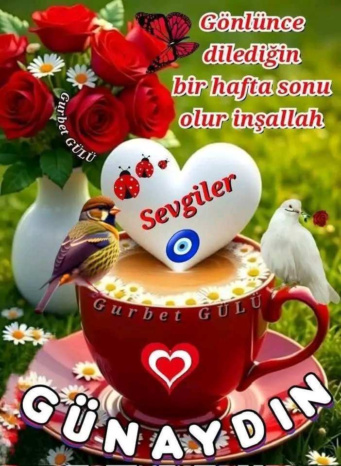 Günaydın Benim Güzel Ülkemin Güzel İnsanları Canlar Yoldaşlar Mutlu Huzurlu Hafta Sonu Dilerim iyilik iyidir ✌️☕🙏