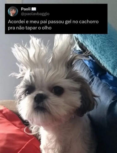memesdogaga's tweet photo. https://t.co/hKJw1rukuh