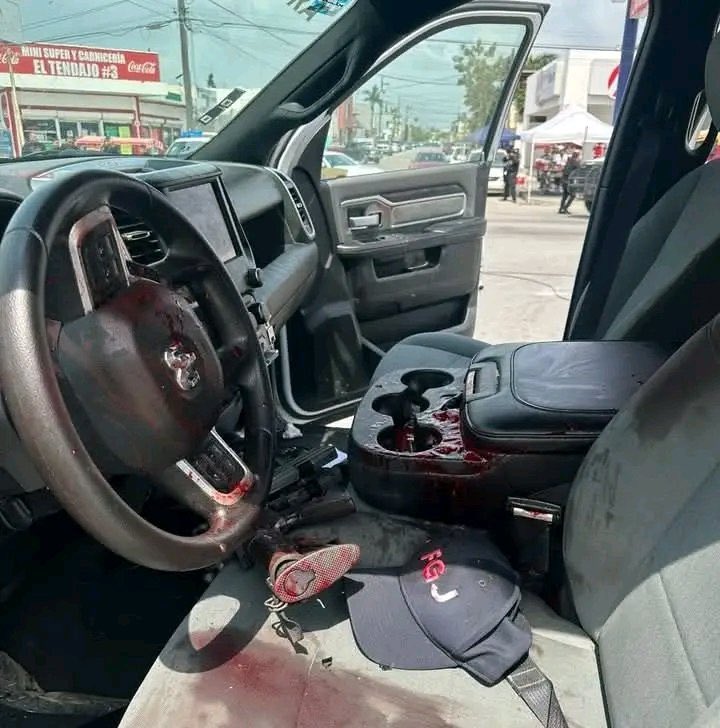 fuerzas_especiales_mex tweet media