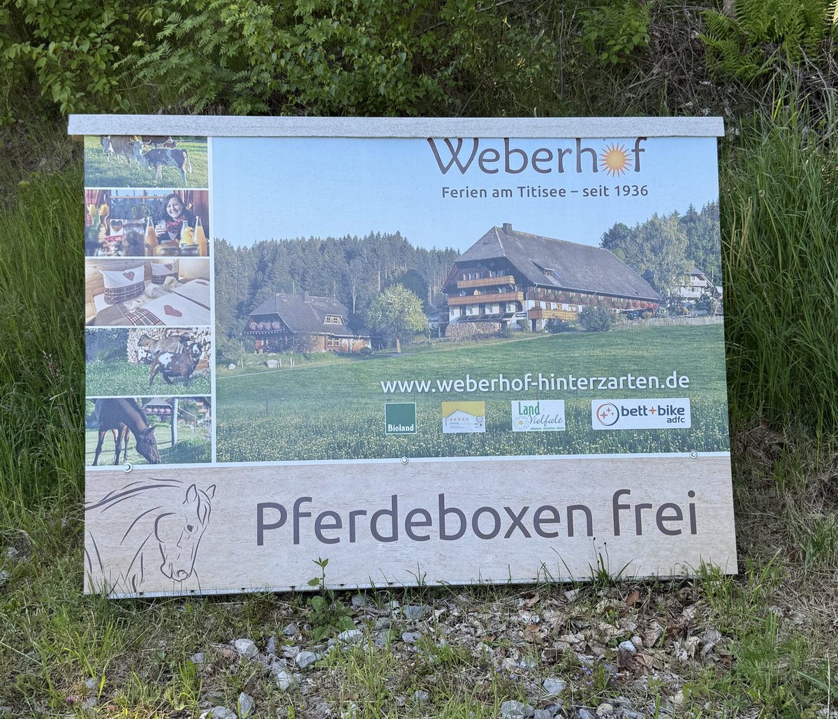Oberfeldbesen tweet media