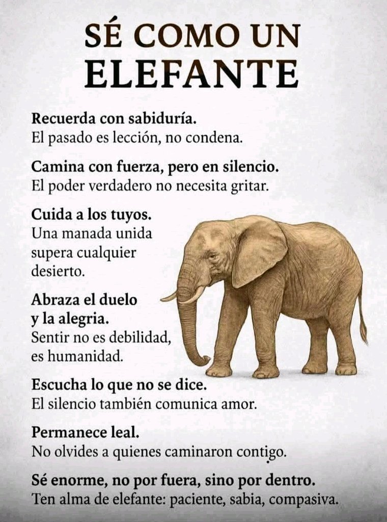 Nota vía <a href="/Maryam_Varela/">Maryam Varela</a>