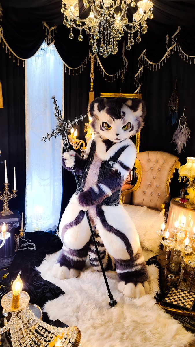 Dragoniel (@slibiniukas) on Twitter photo <a href="/FurryGintan/">银碳Gintan➡️Furst class A17</a> ❤️❤️
📸: <a href="/Slibiniukas/">Dragoniel</a>
✏: LavenderNoelle
Photoshoot by <a href="/Larsen_VC/">Larsen Photography📸</a> <a href="/FurryGintan/">银碳Gintan➡️Furst class A17</a> ❤️❤️
📸: <a href="/Slibiniukas/">Dragoniel</a>
✏: LavenderNoelle
Photoshoot by <a href="/Larsen_VC/">Larsen Photography📸</a>