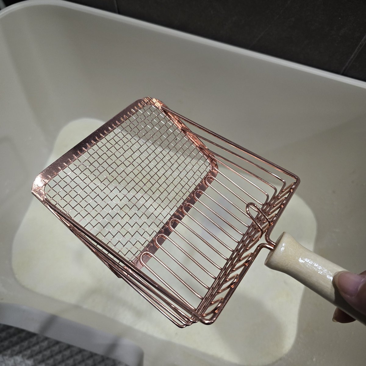 파이코인구입[구글도배,구글찌라시 텔 𝑮𝑺𝑬𝑶8]비트P2P안전거래.lao