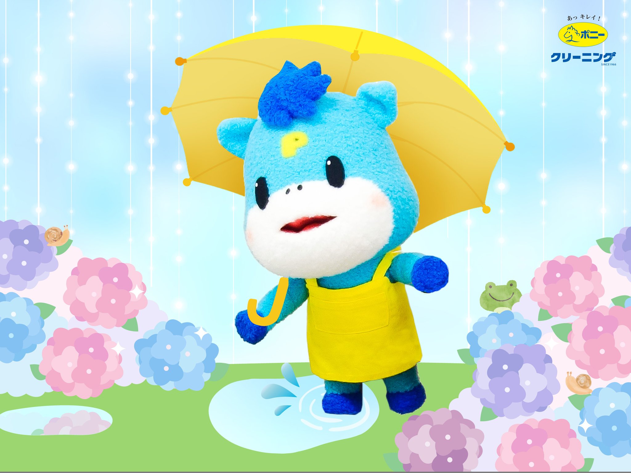 しょう様 リクエスト 6点 まとめ商品 クリーニング済 sue様 リクエスト 7点 まとめ商品 - メルカリ