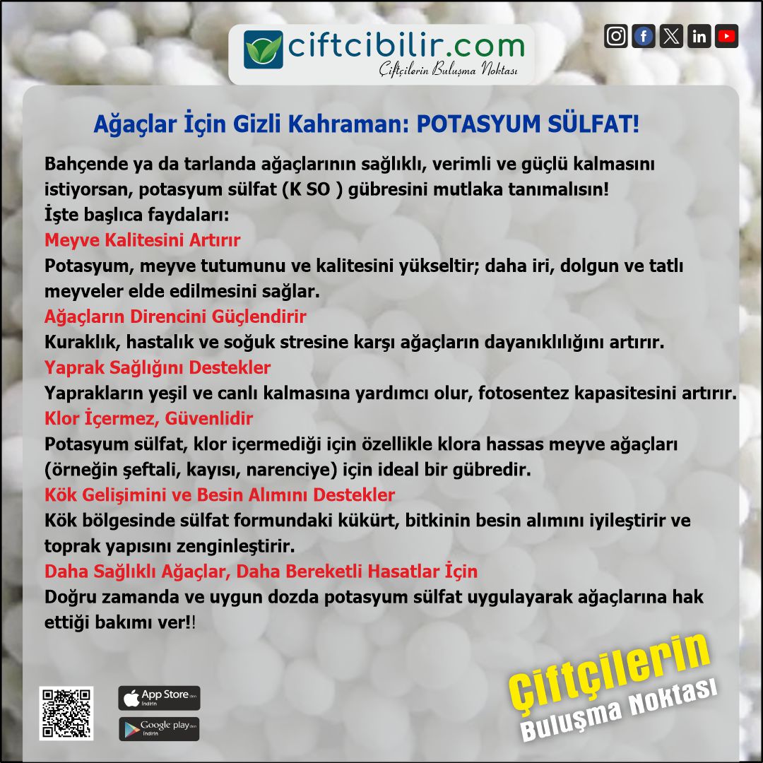 Daha fazla bilgiye sitemizin Tarım Kütüphanesi bölümünden ulaşabilirsiniz.
İlanlarınızı sitemizde ücretsiz yayınlayabilirsiniz...
ciftcibilir.com