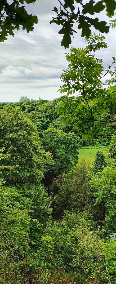 Jesmond Dene parkrun tweet media