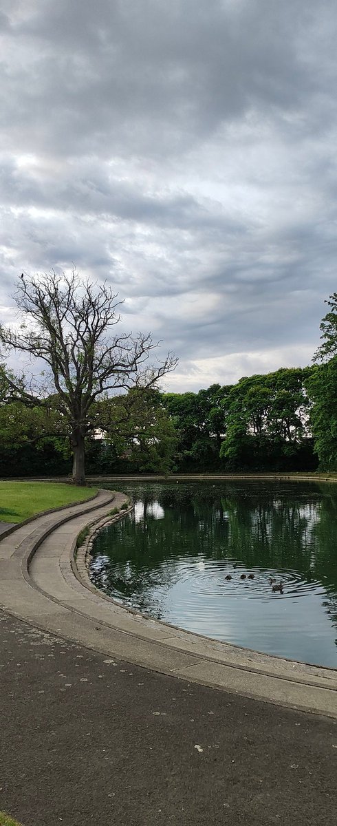 Jesmond Dene parkrun tweet media