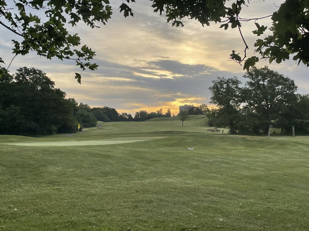 Chris Clements tweet media