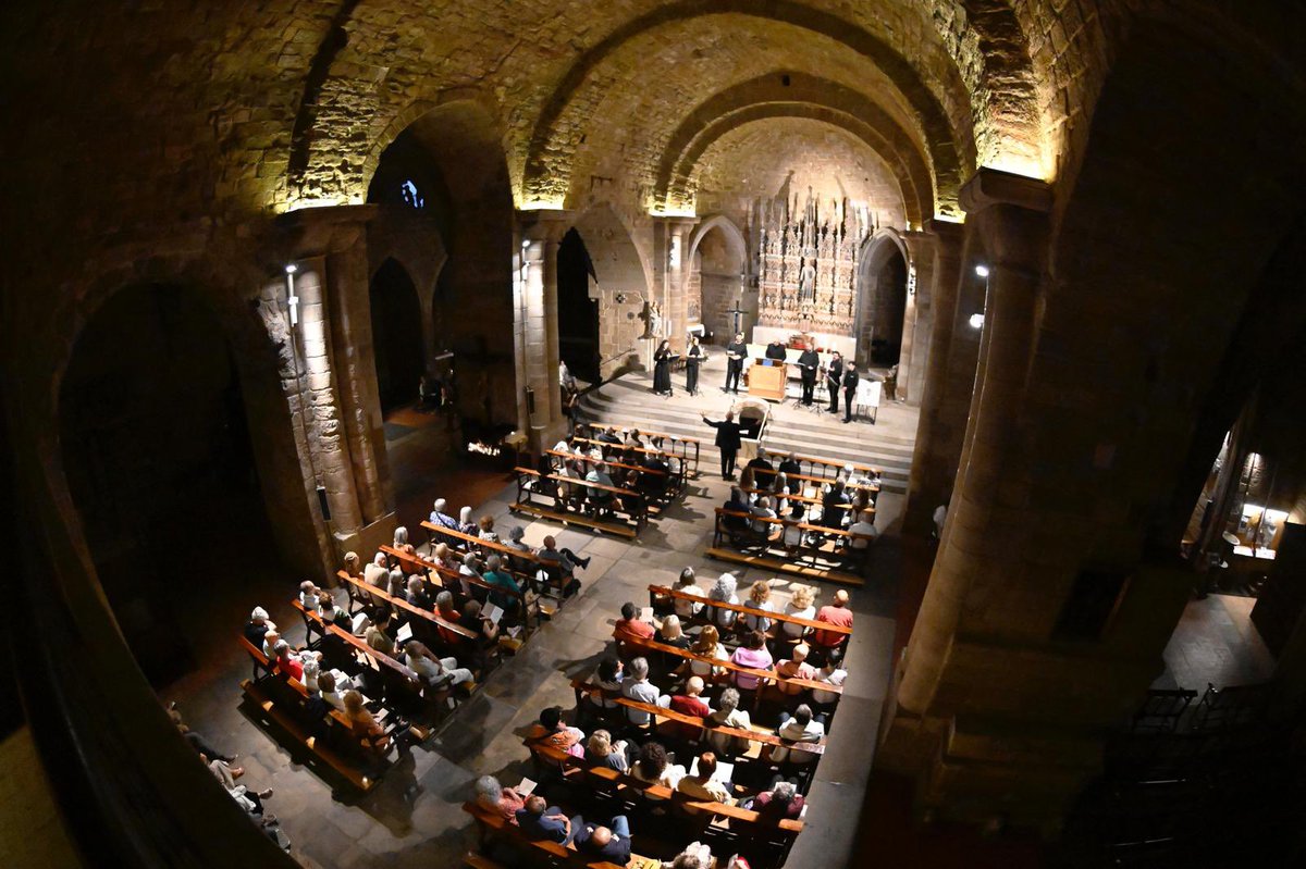 Antoni Gelonch tweet media