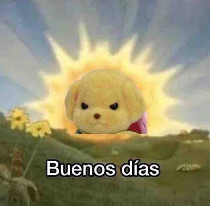 En Júpiter (@en_jupiter_) on Twitter photo 