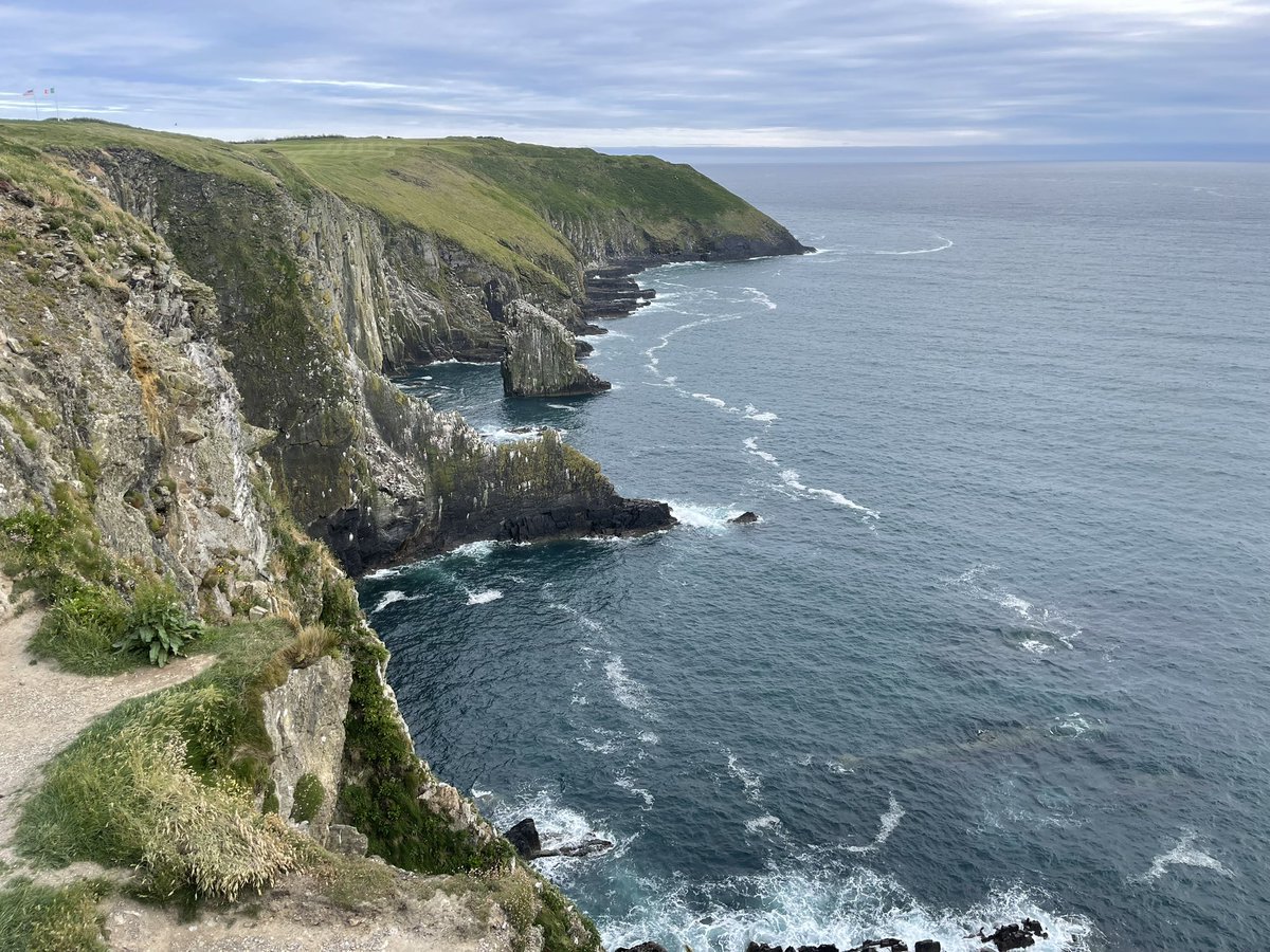 Emre Gorgun (@emregorgunmd) on Twitter photo 🚨 Exciting milestone for Irish GI medicine!
Proud to contribute to the 1st ESD Workshop at University College Cork 🇮🇪
Introducing Endoluminal Surgery & Endoscopic Submucosal Dissection (ESD) to Irish physicians — advancing endoluminal surgery #ESD #Ireland <a href="/peterneary7/">Peter Neary</a> 🚨 Exciting milestone for Irish GI medicine!
Proud to contribute to the 1st ESD Workshop at University College Cork 🇮🇪
Introducing Endoluminal Surgery & Endoscopic Submucosal Dissection (ESD) to Irish physicians — advancing endoluminal surgery #ESD #Ireland <a href="/peterneary7/">Peter Neary</a>