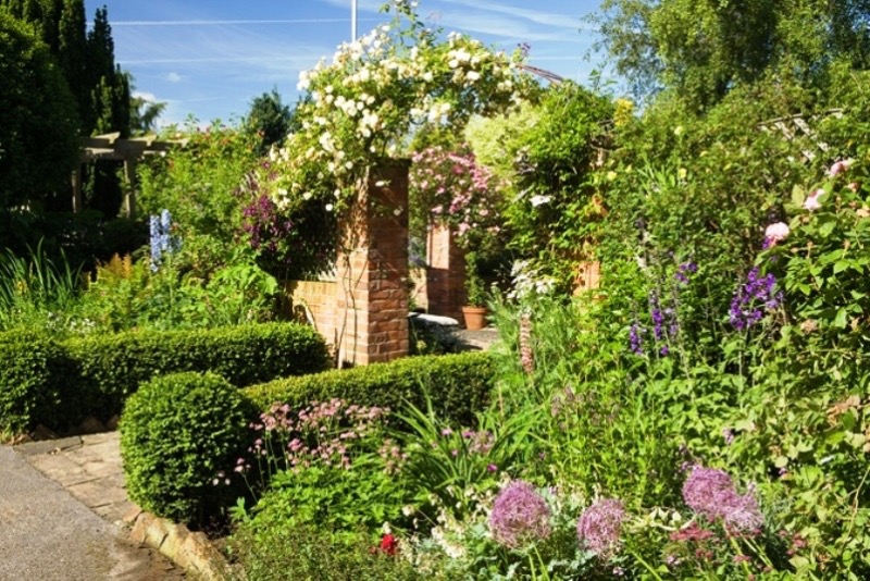 OPEN TOMORROW SUNDAY 1ST
Firs Farm.               LN8 5QB
23 Linden Walk.    LN11 9 HT
Manor Farm.          DN18 6HS
The Old Stables.   NG32 2EA

See previous posts for details
#NGS #opengarden #lincsconnect #visitlincolnshire