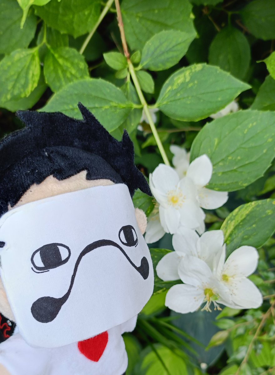 aruminium4747's tweet image. おでかけザッカリー