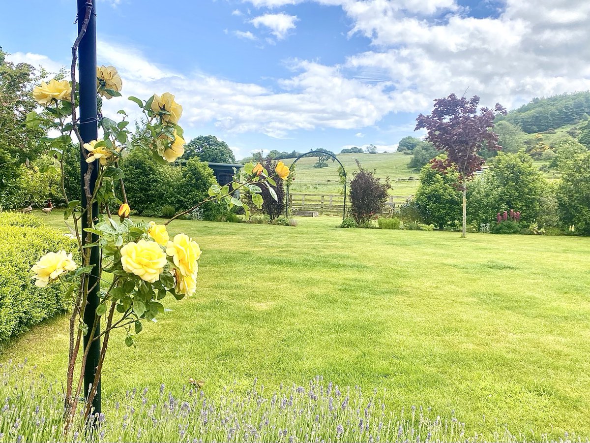 Wishing you a wonderful weekend from my little slice of North Yorkshire 😊