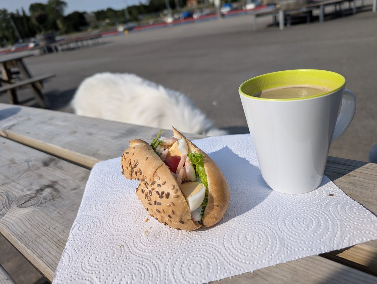 Good morning from Sweden 🤗