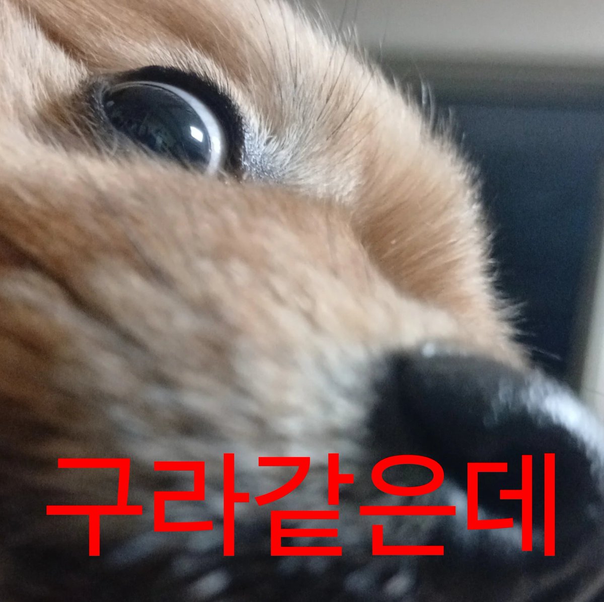 TOM🔞 (@tom75272642) on Twitter photo 