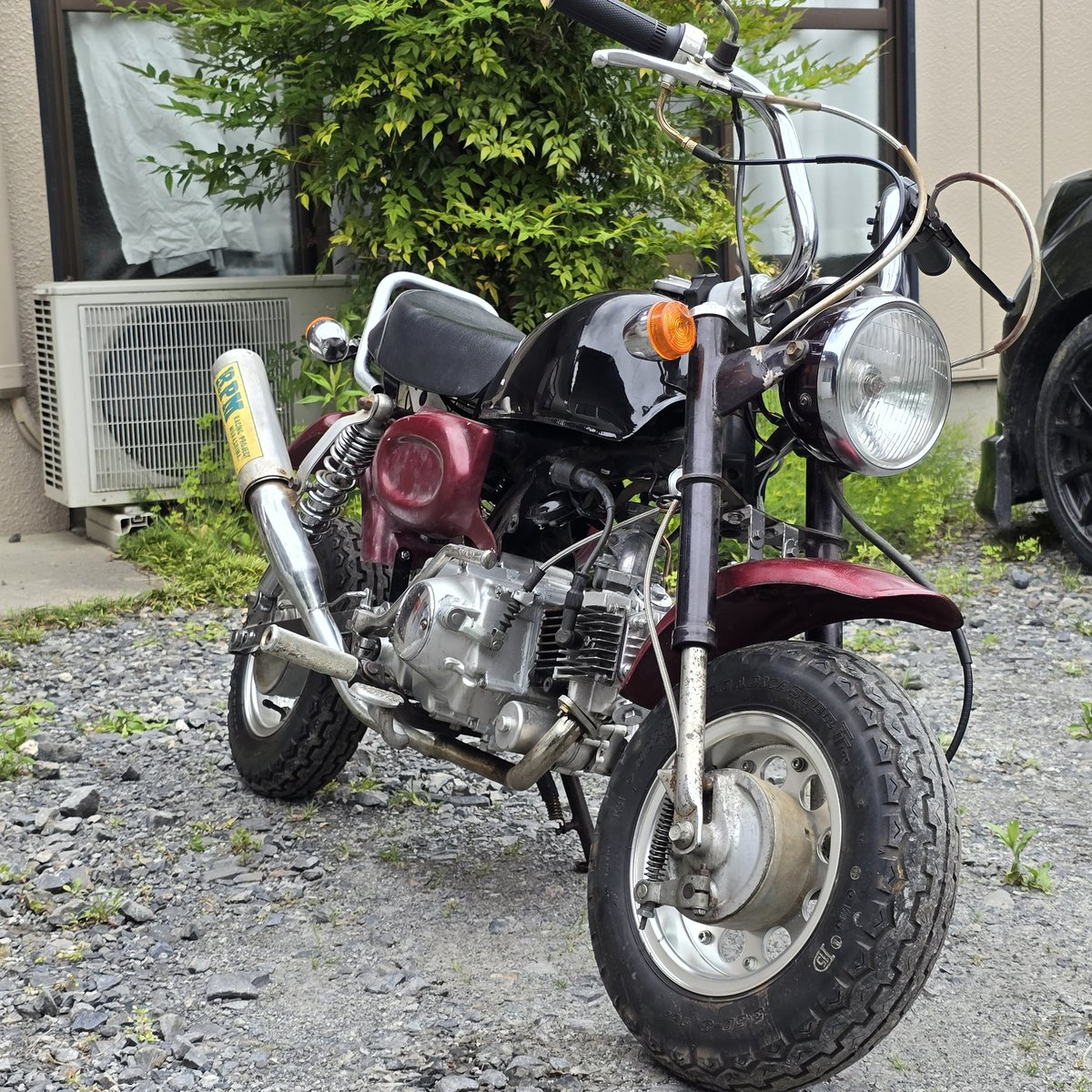 L675SCocoa's tweet photo. モンキー完成からの塗装終わった🥱

#z50j
#monkey
#HONDA
#ロンスイ
#ローダウン
#RPM
#自家塗装
#キャンディグリーン
#クレヨンしんちゃん
#猿
#原付き
#50cc https://t.co/duKSeEXbVZ