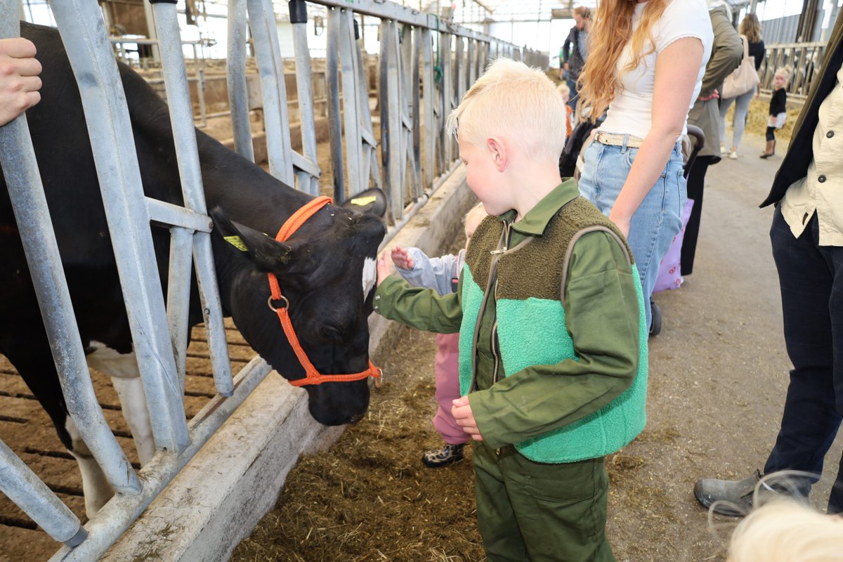 Boerderij vol bezoekers tijdens Campina Open Boerderijdag in Feanwâlden - rtvnof.nl/boerderij-vol-…