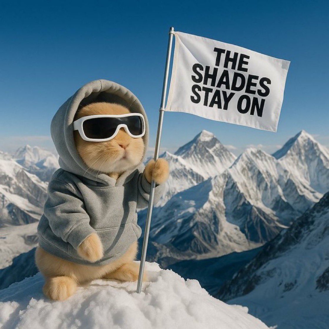 moonsbagsony's tweet photo. One thing I know, is that $shades hasn’t been done before. It’s OG and special.

Everything is down, even catwifmask. People are scared to hold.

Keep the positivity up, time to eat the dip for better entries and hop our way back up!

https://t.co/xndBOOjev0 https://t.co/bPyN96CV3O