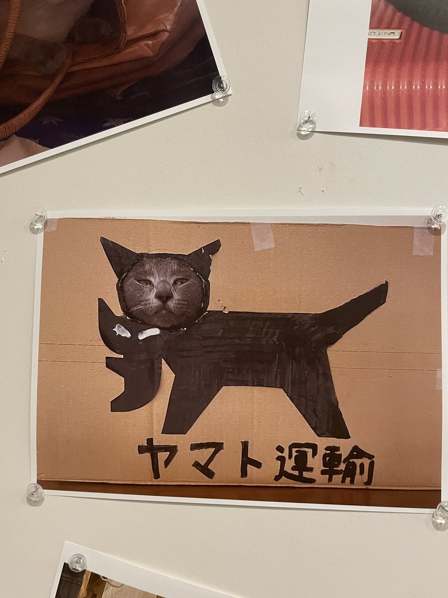 hanakoathiro's tweet photo. ひろしま美術館　ごろごろまるまるねこづくし　ウチの猫さまも応募すれば良かったな https://t.co/zDI5osRY6S