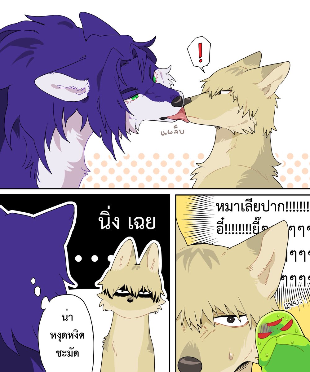 ด่อนดำ tweet media