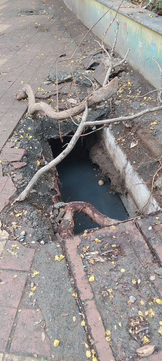 VasaiVirarForum's tweet image. The playground is flooded due to VVCMC&apos;s neglect. Dy Commissioner Sameer Bhumkar promised these grounds would be for sports—is this how he promotes sports ?  Remove the inefficient officers ruining Vasai-Virar’s future! 
@vvcmc_official
@CMOMaharashtra
@narendramodi 
@PMOIndia