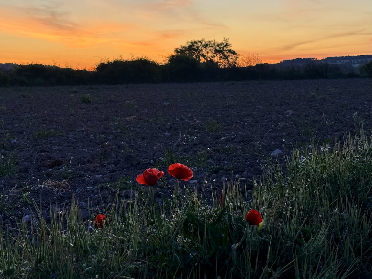 tribusdelasegarra (@tribusegarra) on Twitter photo tribusdelasegarra.cat/2025/05/31/bon…
Bon dia
Santa Coloma de Queralt
Baixa Segarra
#segarrejant #goodmorning #Catalonia #magradaelmeupaís <a href="/finslagorra_1/">finslagorra ||*|| SÍ</a> <a href="/jolival65/">JOliva||*||</a> <a href="/montserumbau/">montserrat rumbau</a> @martapontnou <a href="/salvad_m/">RosamSal ||⭐|| 🏴#Jo soc CDR# *CxR*</a> <a href="/martalbareda/">Marta Albareda Valls</a> <a href="/mccorominas/">Carme Corominas</a> <a href="/cantireta/">Montserrat Aloy 💬✏📕 🎭🇺🇦</a> @xatoQuico <a href="/Ifarre2/">Imma</a> <a href="/CanelaBalsebre/">rosa canela</a> <a href="/mnadal13/">Marta Nadal</a> tribusdelasegarra.cat/2025/05/31/bon…
Bon dia
Santa Coloma de Queralt
Baixa Segarra
#segarrejant #goodmorning #Catalonia #magradaelmeupaís <a href="/finslagorra_1/">finslagorra ||*|| SÍ</a> <a href="/jolival65/">JOliva||*||</a> <a href="/montserumbau/">montserrat rumbau</a> @martapontnou <a href="/salvad_m/">RosamSal ||⭐|| 🏴#Jo soc CDR# *CxR*</a> <a href="/martalbareda/">Marta Albareda Valls</a> <a href="/mccorominas/">Carme Corominas</a> <a href="/cantireta/">Montserrat Aloy 💬✏📕 🎭🇺🇦</a> @xatoQuico <a href="/Ifarre2/">Imma</a> <a href="/CanelaBalsebre/">rosa canela</a> <a href="/mnadal13/">Marta Nadal</a>