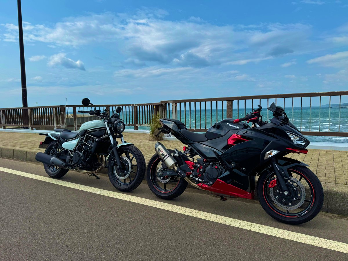 あいむぱんだちゃん！🐼 (@im_panda_chan) on Twitter photo 