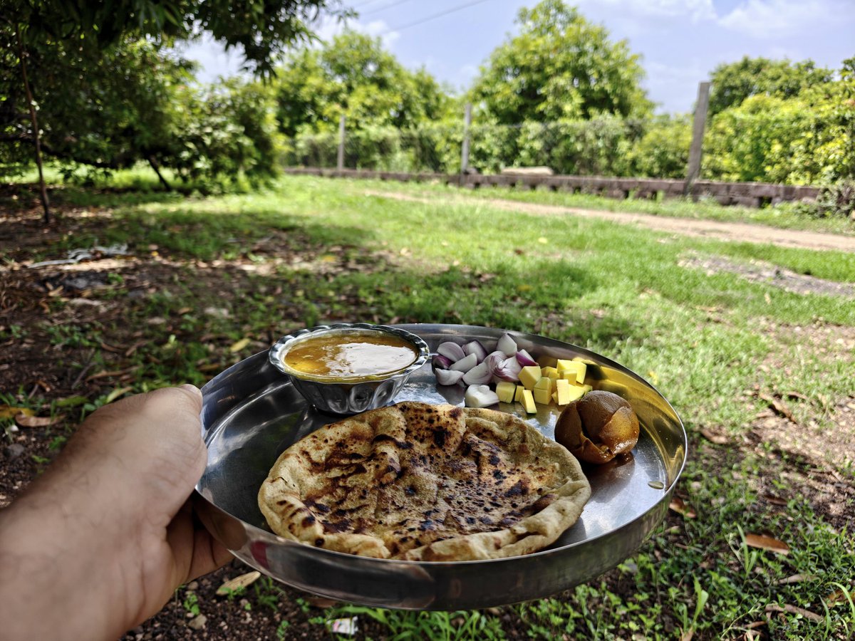 Chiragkapuriya's tweet image. Desi Delight #MangoFarm #Gir