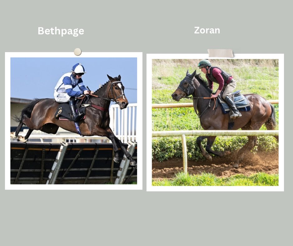 Emma Lavelle (@elavelleracing) on Twitter photo π Saturday 31st May - <a href="/stratfordraces/">Stratford Racecourse</a> Evening Racing π
πΉ 7.30 pm Bethpage π<a href="/CobdenHarry/">Harry Cobden</a> rides
πΉ 9.00 pm Zoran π <a href="/BenJone04644251/">Ben Jones</a> rides
#Goodluck#TeamLavelle π π π Saturday 31st May - <a href="/stratfordraces/">Stratford Racecourse</a> Evening Racing π
πΉ 7.30 pm Bethpage π<a href="/CobdenHarry/">Harry Cobden</a> rides
πΉ 9.00 pm Zoran π <a href="/BenJone04644251/">Ben Jones</a> rides
#Goodluck#TeamLavelle π π
