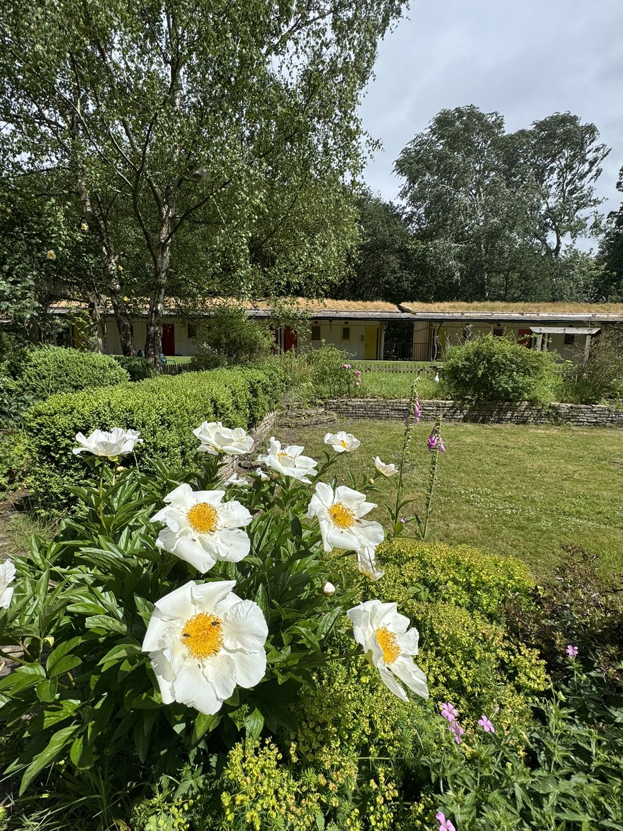 YHA Chester Trafford Hall tweet media