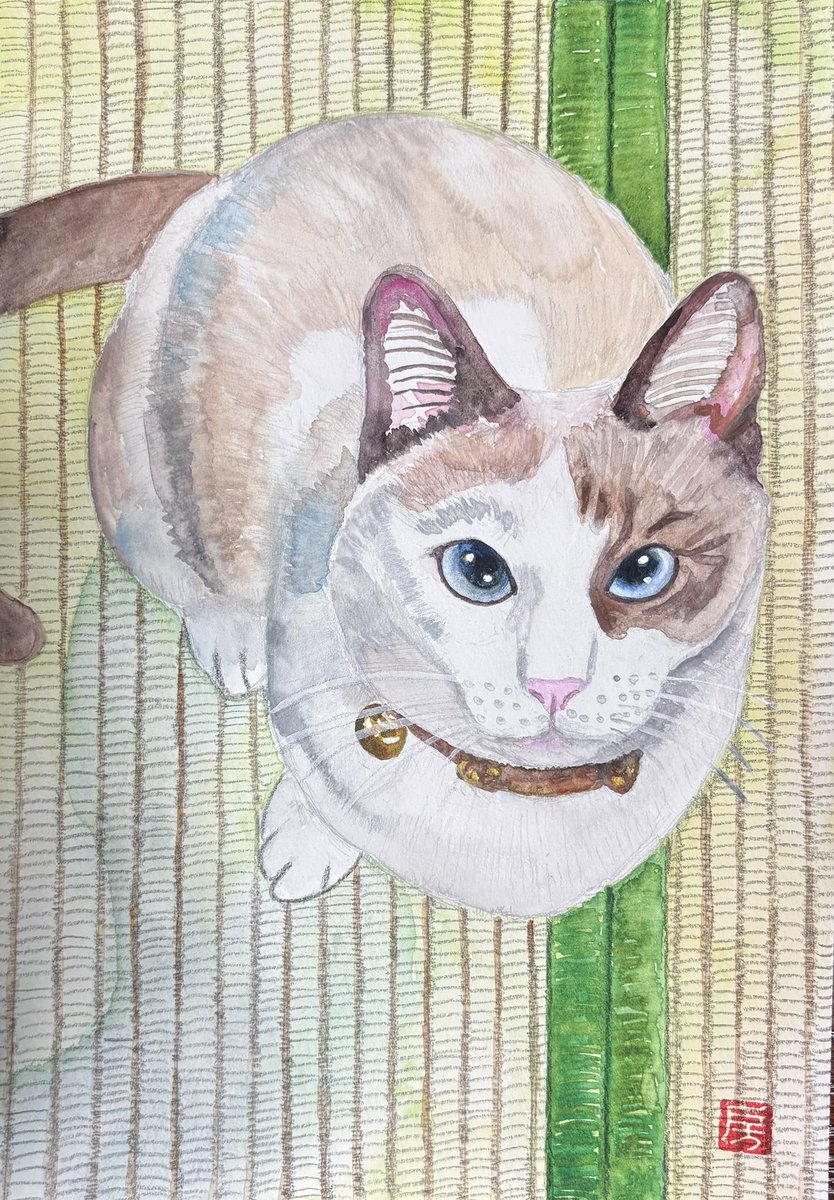 puputaro7's tweet image. お世話になっている先生の愛猫、トトちゃんを描きました。