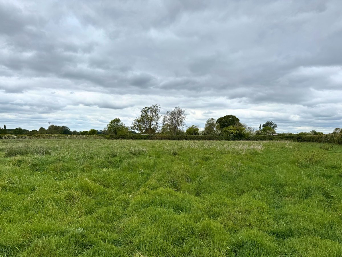 Ceres Property (@ceresproperty) on Twitter photo We have 32.74 acres of productive, grade 3 arable land available in the village of New Buckenham. Whether you're looking to buy as a whole or in two separate lots.
contact jason.cantrill@ceresrural.co.uk or view link: bit.ly/4dACsfq
#LandForSale #Norfolk We have 32.74 acres of productive, grade 3 arable land available in the village of New Buckenham. Whether you're looking to buy as a whole or in two separate lots.
contact jason.cantrill@ceresrural.co.uk or view link: bit.ly/4dACsfq
#LandForSale #Norfolk