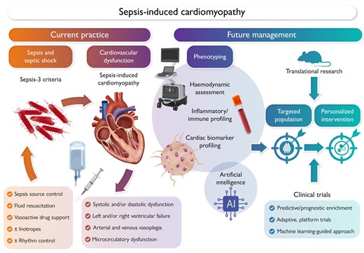 EHJ Editor-in-Chief (@ehj_ed) on Twitter photo Myocardial dysfunction caused by sepsis is usually termed ‘sepsis-induced cardiomyopathy’. New review summarizes current knowledge.
doi.org/10.1093/eurhea…
#sepsis #cardiomyopathy #cardiotwitter <a href="/ESC_Journals/">European Society of Cardiology Journals</a> <a href="/escardio/">European Society of Cardiology</a> Myocardial dysfunction caused by sepsis is usually termed ‘sepsis-induced cardiomyopathy’. New review summarizes current knowledge.
doi.org/10.1093/eurhea…
#sepsis #cardiomyopathy #cardiotwitter <a href="/ESC_Journals/">European Society of Cardiology Journals</a> <a href="/escardio/">European Society of Cardiology</a>