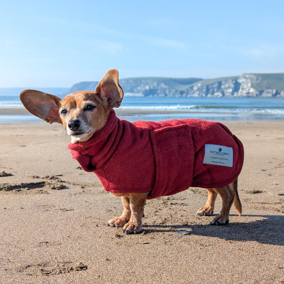 Beach day? Bath time? Wet dog? No worries. Just wrap, relax, and let Ruff and Tumble do the drying. 😎

#ruffandtumble