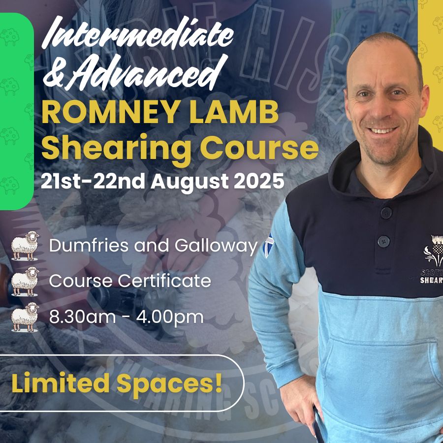 SHEARINGSCHOOL's tweet image. Got your basics sorted? 

Step up your game. 2-day Intermediate/Advanced lamb shearing with Robbie in Dumfries, 21–22 Aug. 8 spots. Lunch + digs sorted.

👇
shearingschool.co.uk/product/2-day-… 

#SheepShearingCourse #RobbieHislop #ShearingTraining
