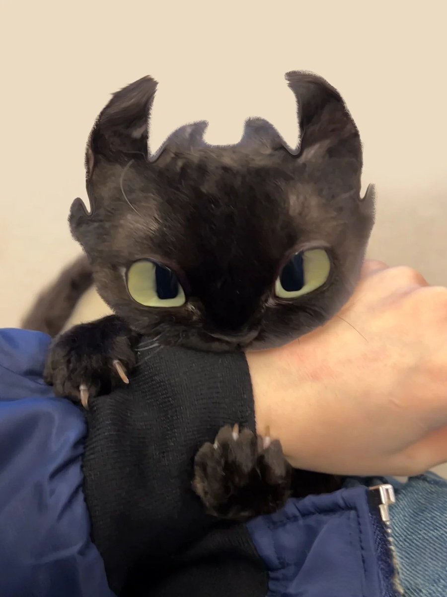 ตามติดชีวิตAnimal tweet media