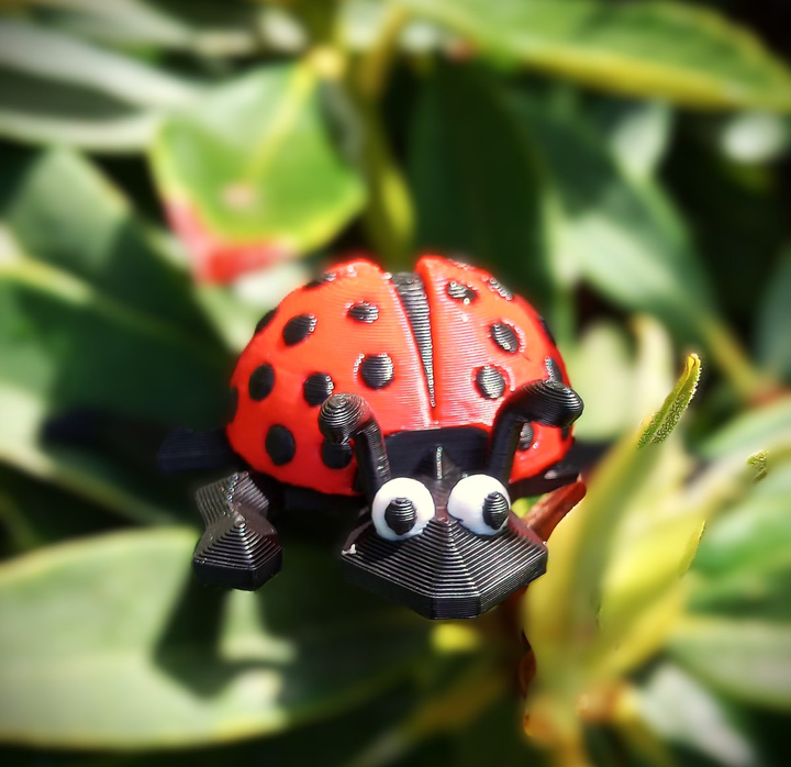 ACrazyFamilyMan's tweet photo. CALLING ALL ESCHER DRAGON HUNTERS! Over 1,000 genuine lizards are being hidden today all over Tacoma. We've brought back fan favorites, basic lizards and created some new lizard friends. Check and recheck spots. You never know when one might appear. #scatterjoy #lizarddrop https://t.co/ODZDm9uLv3