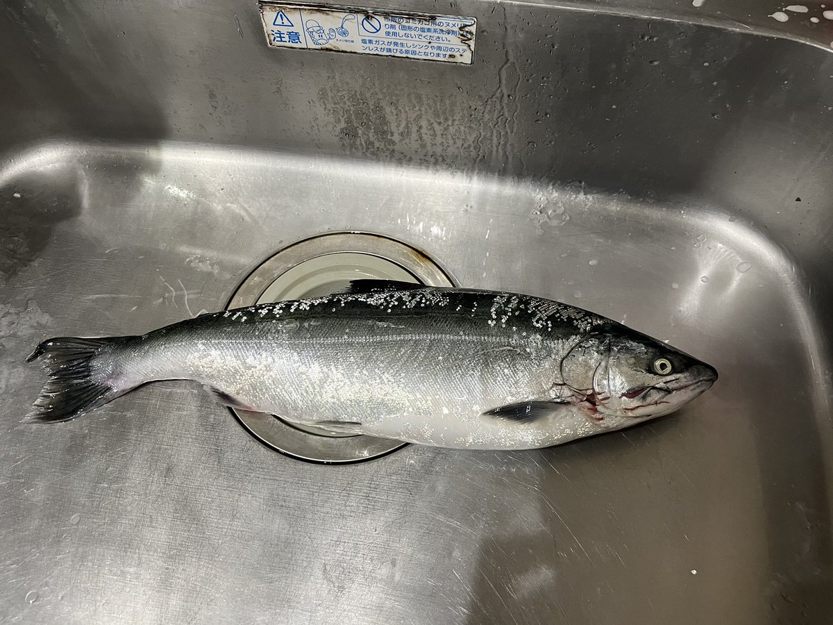 たかちゃん (@takachan647) / Posts / X